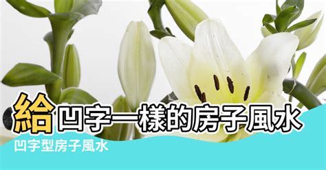 凹型房 風水